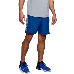 Pánske šortky Woven Graphic Wordmark Shorts Blue - Under Armour